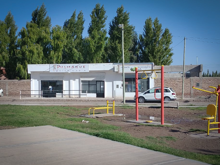 Fachada de Pulmahue Veterinaria